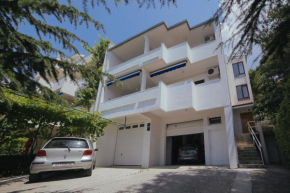 Отель Apartments Dada  Омиш